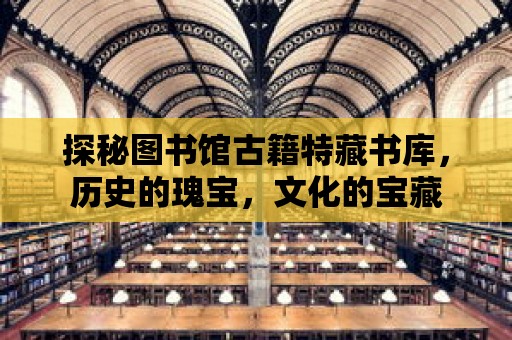 探秘圖書館古籍特藏書庫，歷史的瑰寶，文化的寶藏