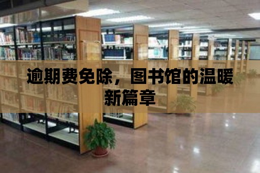 逾期費免除，圖書館的溫暖新篇章