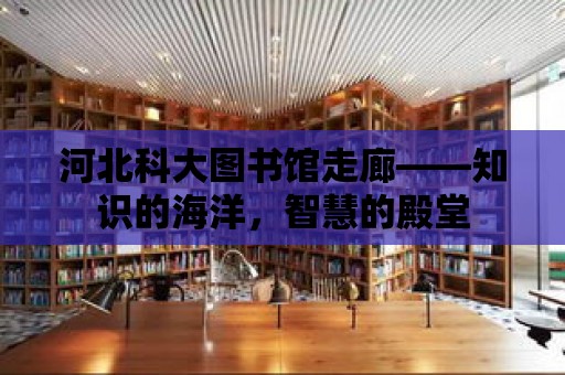 河北科大圖書館走廊——知識的海洋，智慧的殿堂