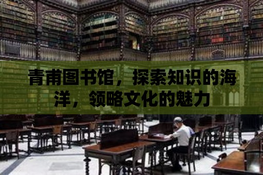 青甫圖書館，探索知識的海洋，領略文化的魅力