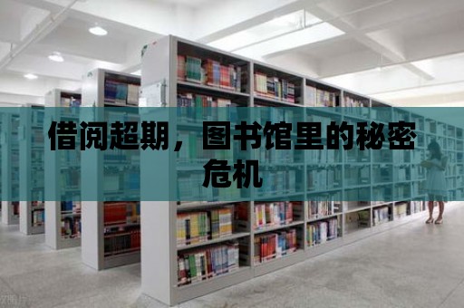 借閱超期，圖書館里的秘密危機