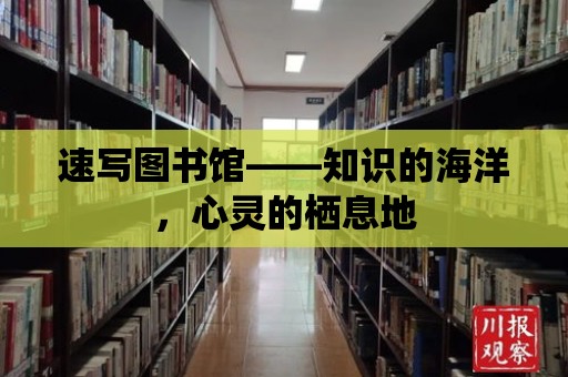 速寫圖書館——知識的海洋，心靈的棲息地