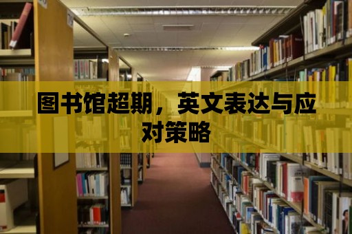 圖書館超期，英文表達與應對策略