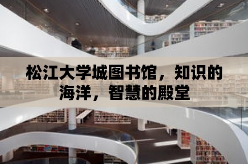 松江大學城圖書館，知識的海洋，智慧的殿堂