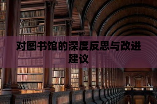 對圖書館的深度反思與改進建議