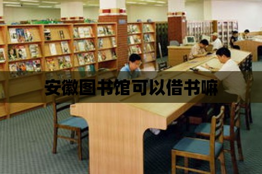 安徽圖書館可以借書嘛