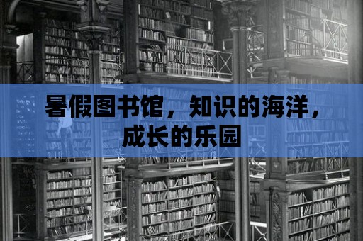 暑假圖書館，知識(shí)的海洋，成長的樂園