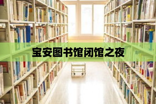 寶安圖書館閉館之夜