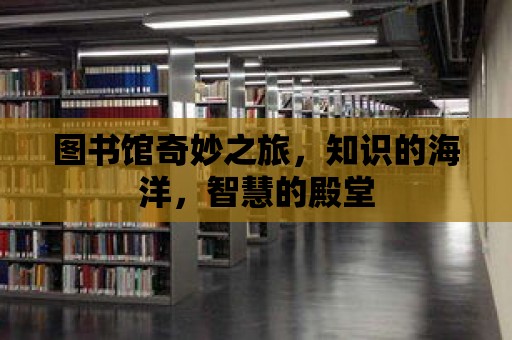 圖書館奇妙之旅，知識的海洋，智慧的殿堂