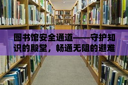 圖書館安全通道——守護知識的殿堂，暢通無阻的避難之路