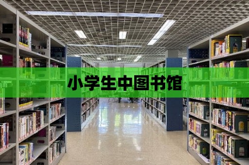 小學生中圖書館