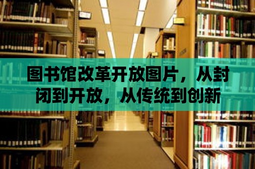 圖書館改革開放圖片，從封閉到開放，從傳統到創新