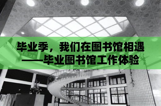 畢業季，我們在圖書館相遇——畢業圖書館工作體驗