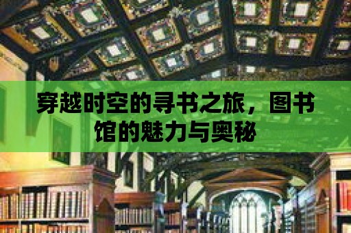 穿越時(shí)空的尋書之旅，圖書館的魅力與奧秘