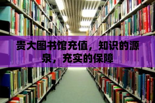 貴大圖書館充值，知識的源泉，充實的保障