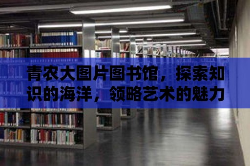 青農(nóng)大圖片圖書館，探索知識的海洋，領略藝術的魅力