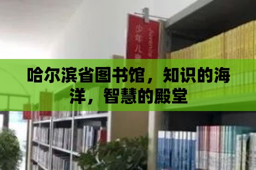 哈爾濱省圖書館，知識的海洋，智慧的殿堂