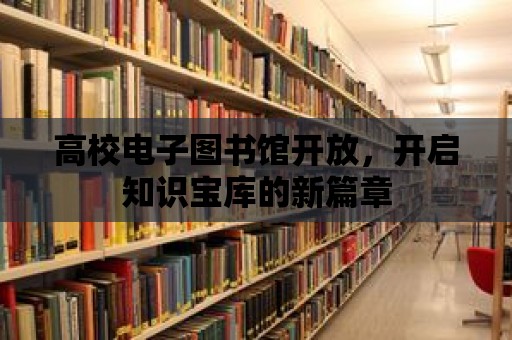 高校電子圖書館開放，開啟知識寶庫的新篇章