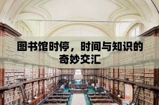 圖書館時停，時間與知識的奇妙交匯