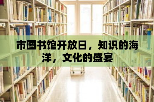 市圖書館開放日，知識的海洋，文化的盛宴