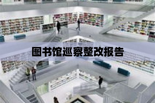 圖書館巡察整改報告