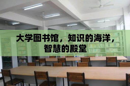 大學圖書館，知識的海洋，智慧的殿堂