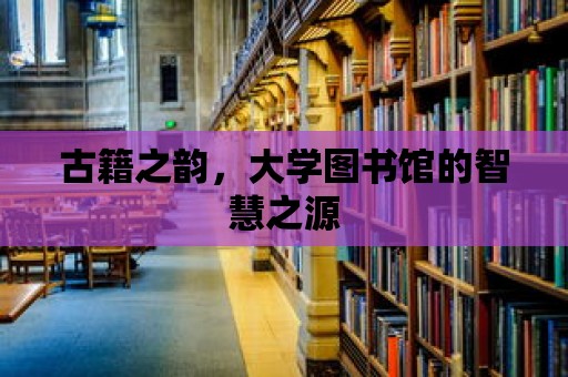 古籍之韻，大學(xué)圖書館的智慧之源