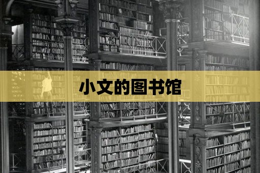 小文的圖書館