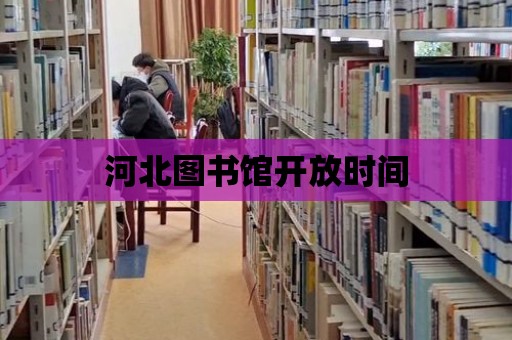 河北圖書館開放時間