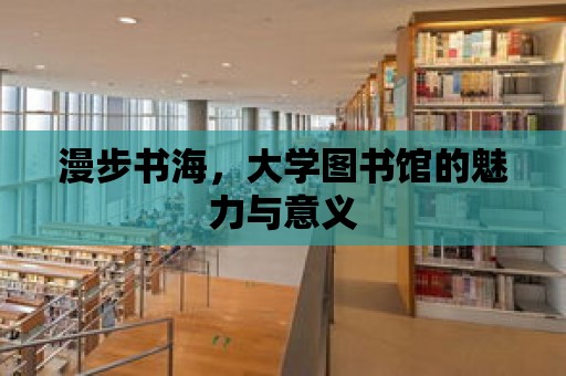 漫步書海，大學圖書館的魅力與意義