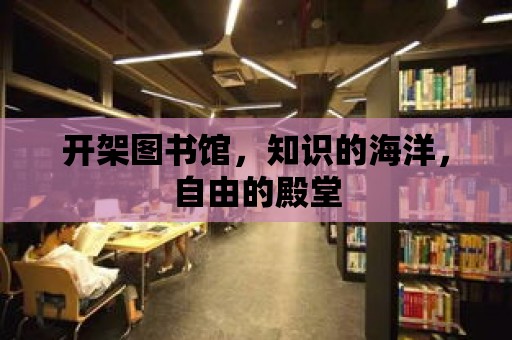 開架圖書館，知識的海洋，自由的殿堂