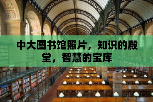 中大圖書館照片，知識的殿堂，智慧的寶庫