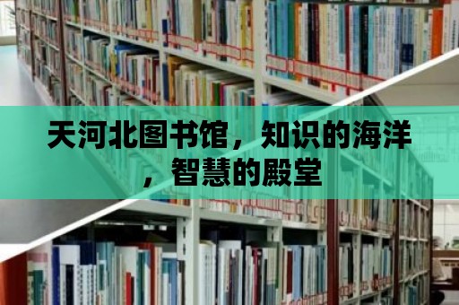 天河北圖書館，知識的海洋，智慧的殿堂