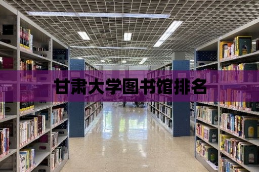 甘肅大學圖書館排名