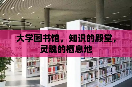 大學圖書館，知識的殿堂，靈魂的棲息地