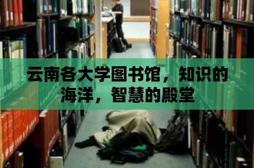 云南各大學圖書館，知識的海洋，智慧的殿堂