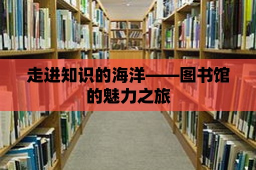 走進知識的海洋——圖書館的魅力之旅