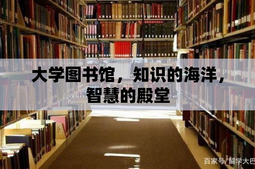 大學圖書館，知識的海洋，智慧的殿堂