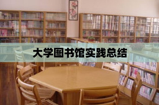 大學圖書館實踐總結