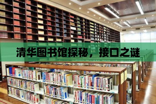 清華圖書館探秘，接口之謎