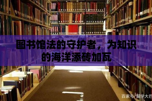 圖書館法的守護者，為知識的海洋添磚加瓦