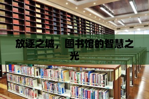 放逐之城，圖書館的智慧之光