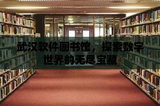 武漢軟件圖書館，探索數字世界的無盡寶藏