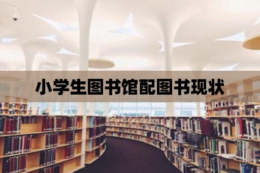 小學生圖書館配圖書現(xiàn)狀