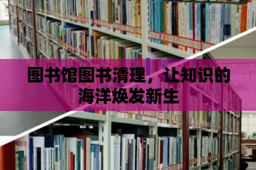 圖書館圖書清理，讓知識的海洋煥發新生