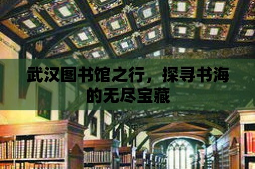 武漢圖書館之行，探尋書海的無盡寶藏