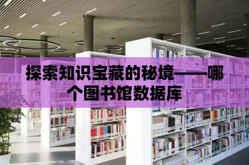 探索知識寶藏的秘境——哪個圖書館數據庫