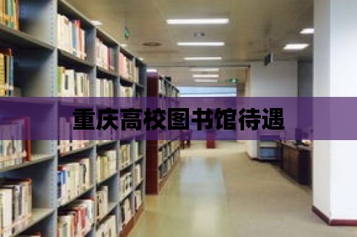 重慶高校圖書館待遇