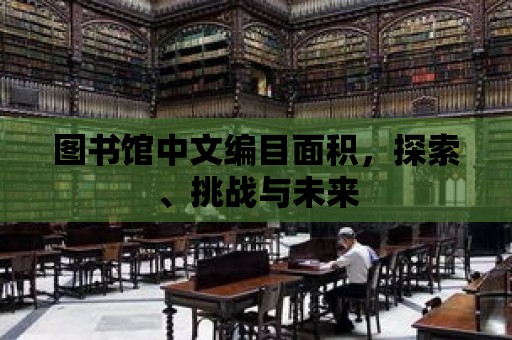 圖書館中文編目面積，探索、挑戰與未來