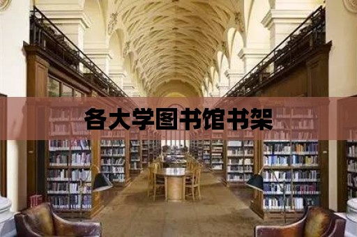 各大學圖書館書架